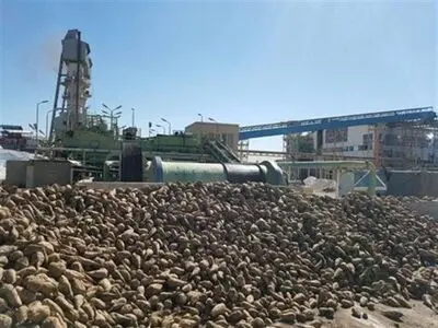 آمادگی جهادکشاورزی برای دعوت از سرمایه‌گذاران جهت  ایجاد کارخانه قند در  گلستان/کشت ۲هزار و ۵۰۰هکتار چغندرقند پاییزه