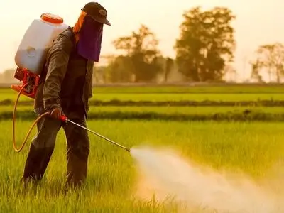 فعالیت 176 فروشگاه مجاز عرضه سموم در استان مرکزی / موارد تخلف بسیار محدود است