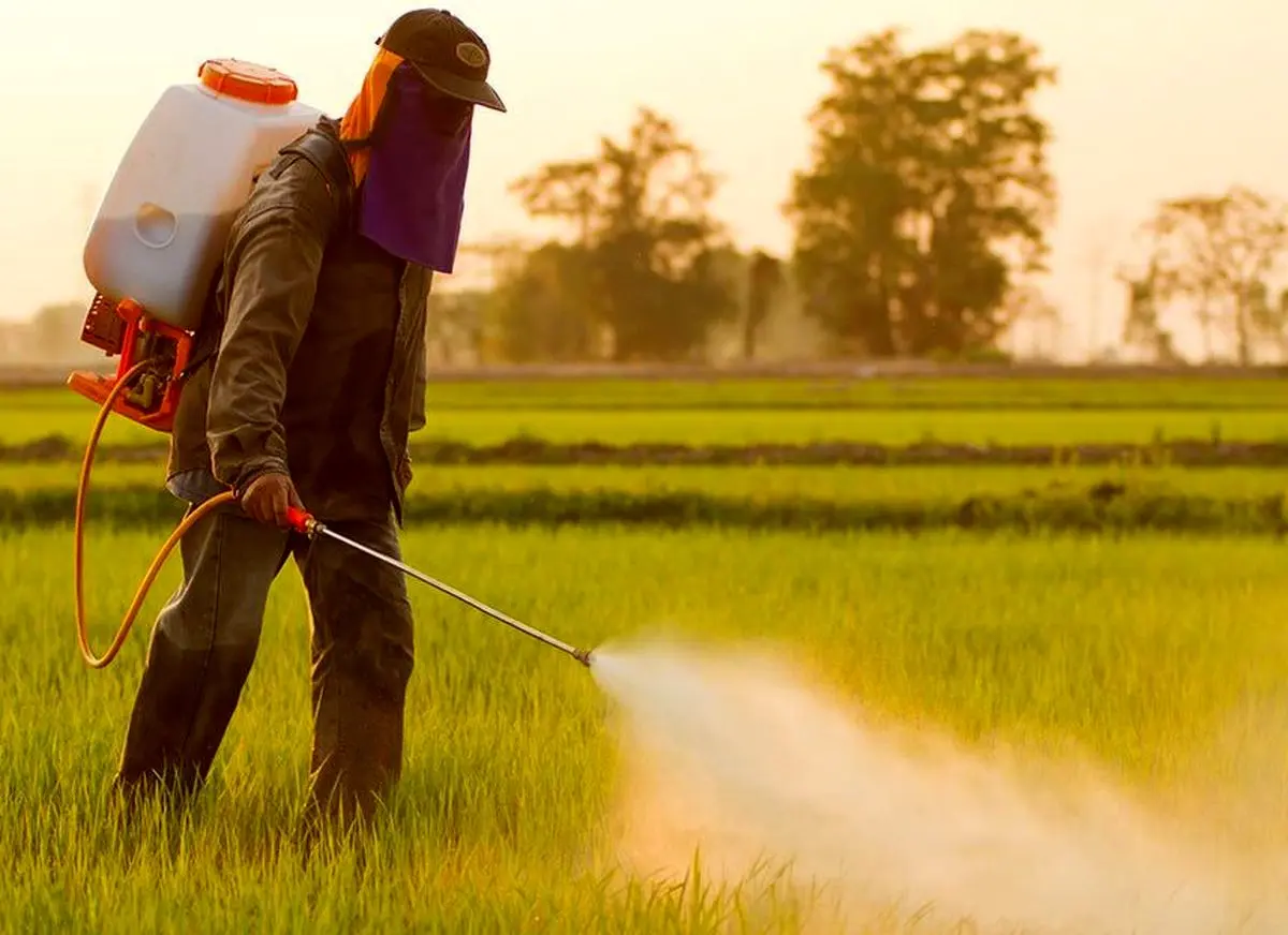 فعالیت 176 فروشگاه مجاز عرضه سموم در استان مرکزی / موارد تخلف بسیار محدود است