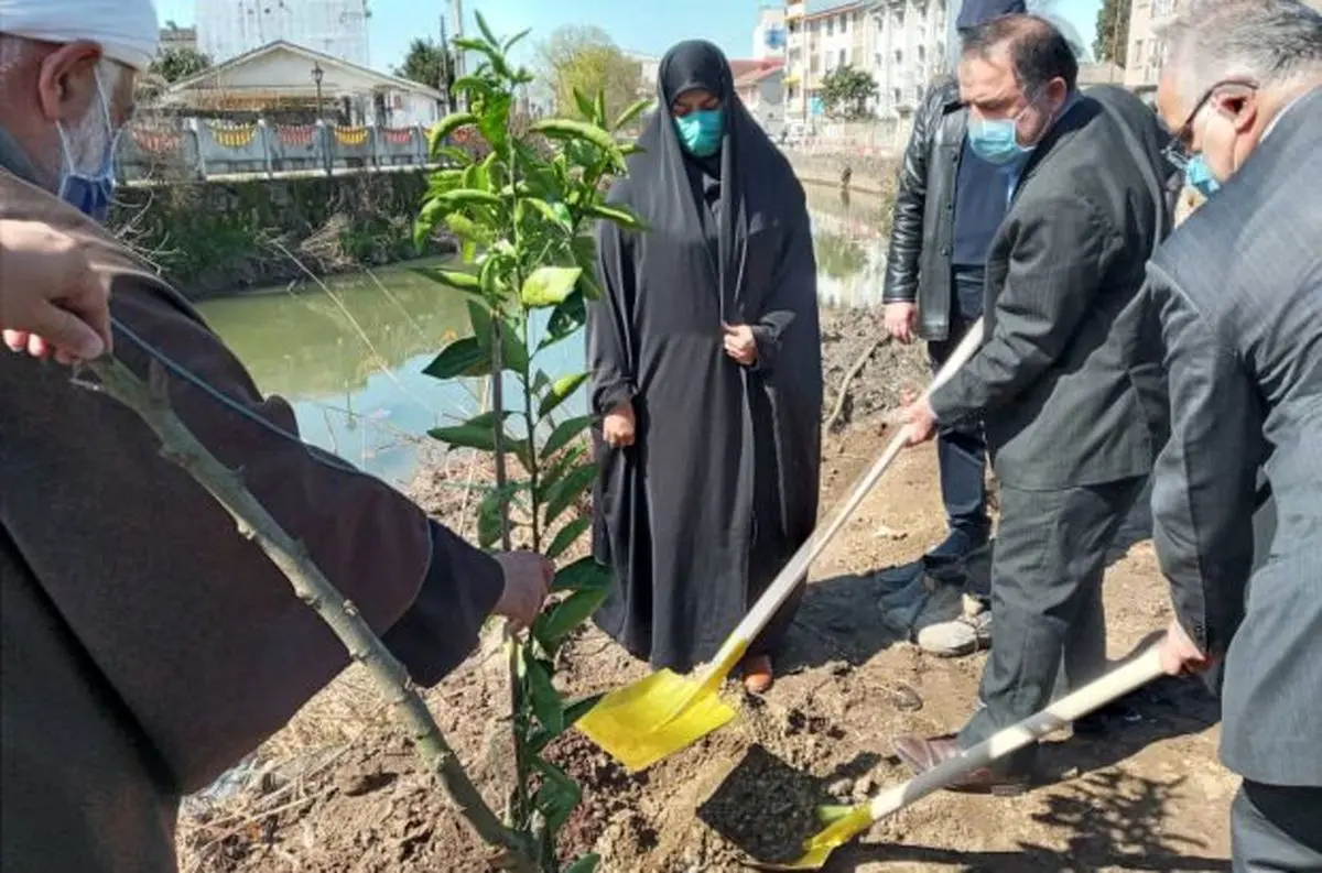 کاشت نهال توسط مسئولان شهرستان خمام در مراسم روز درختکاری