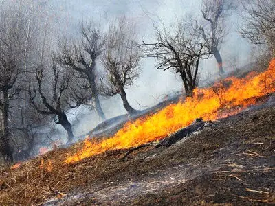 مهار آتش‌سوزی منطقه حفاظت شده شاهو و کوسالان در استان کردستان