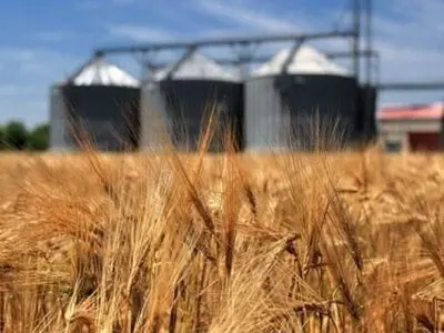 ۷۶ مرکز خرید تضمینی گندم در آذربایجان شرقی آماده فعالیت شد