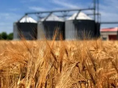 ۷۶ مرکز خرید تضمینی گندم در آذربایجان شرقی آماده فعالیت شد