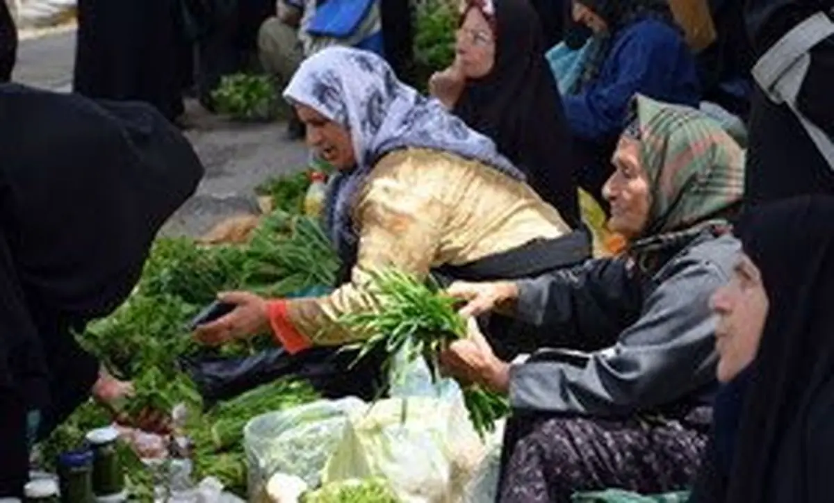 فعالیت ۱۶۴ صندوق خرد روستایی در آذربایجان غربی