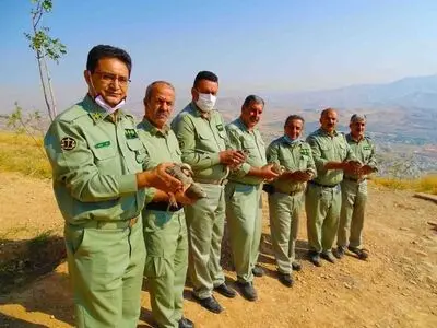 بازگشت ۳۰۰ گونه مختلف جانوری به زیستگاه‌های طبیعی استان کردستان