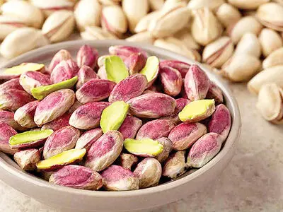 ممنوعیت صادرات پسته ایران به کانادا «بودار» است