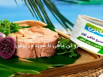 ماجراجویی مکنزی؛ گاز متفاوت در دنیای ساندویچ‌ها!