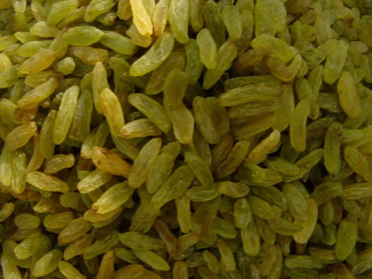 کشمش یارانه می گیرد