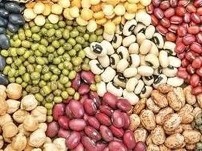 ضبط سه تن حبوبات قاچاق در  شهرستان ماکو