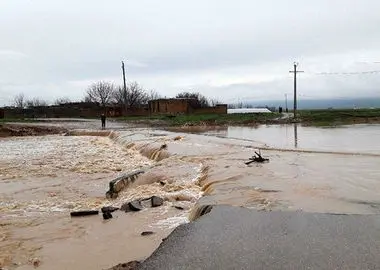 سیل ۵۰ هزار میلیارد ریال خسارت به استان بوشهر وارد کرد