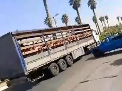 مدیر مدرسه غیردولتی جهرم برکنار شد