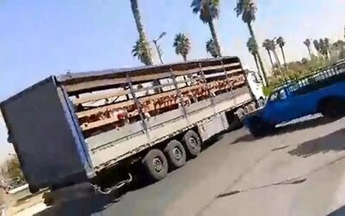 مدیر مدرسه غیردولتی جهرم برکنار شد