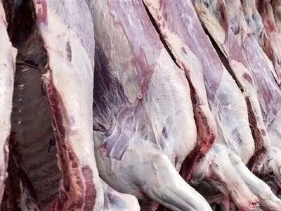 ارسال بیش‌ از ۶۶۰ تن گوشت از سیستان و بلوچستان به ۱۵ استان کشور
