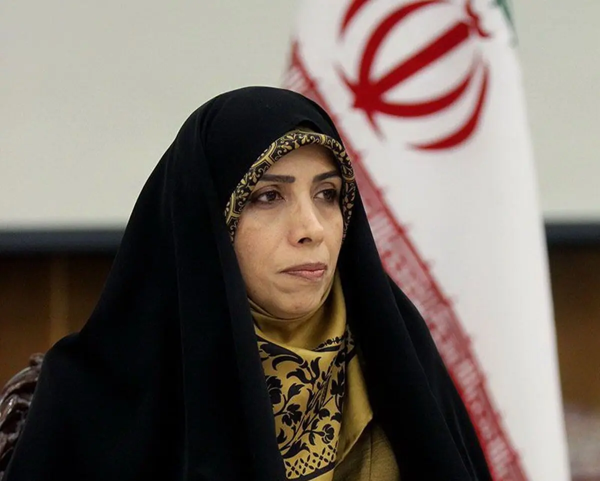 امین‌زاده از ظریف تقدیر کرد