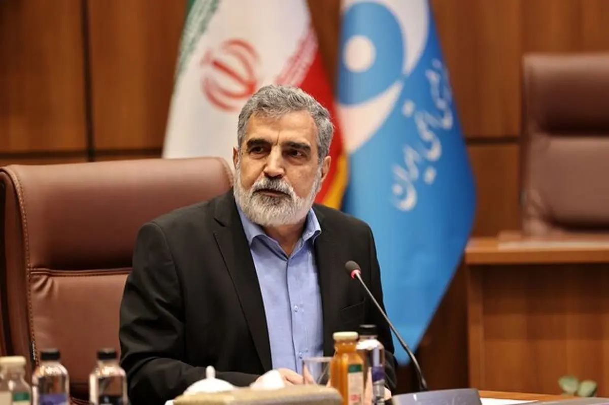 برخورداری کامل از فناوری صلحآمیز هستهای، حق ایران است
