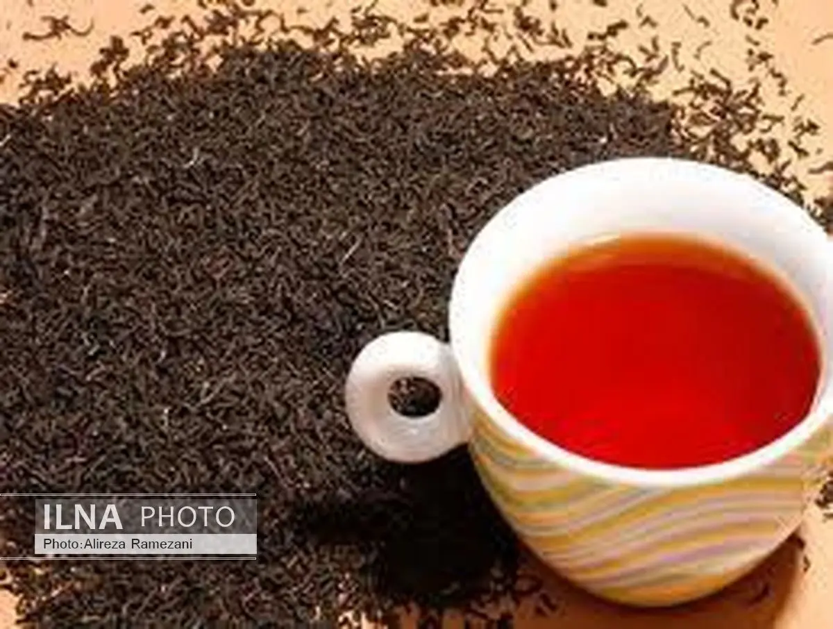 سالانه 500 میلیون دلار چای وارد کشور میشود/بحران موجود در صنعت چای را پشت سرگذاشتهایم