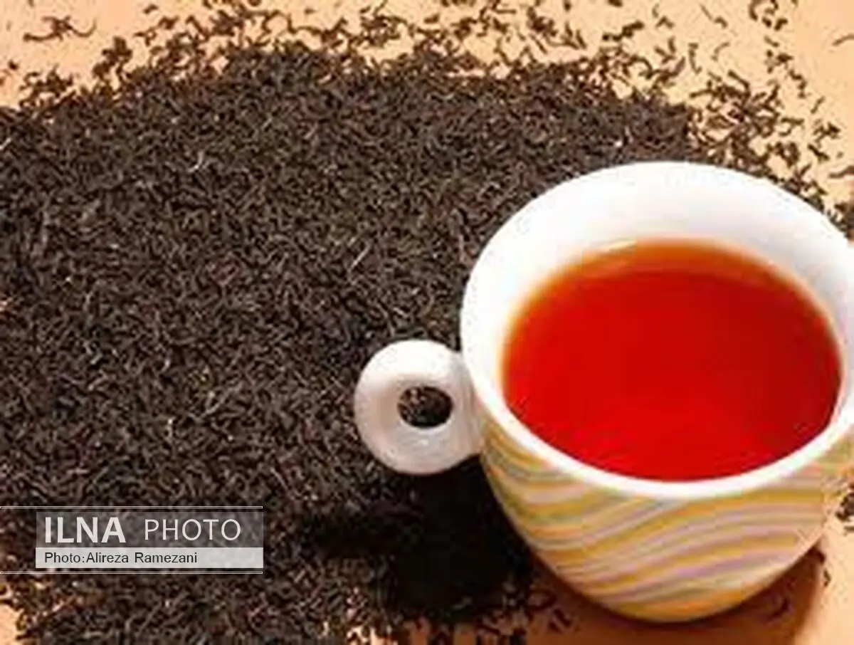 سالانه 500 میلیون دلار چای وارد کشور می‌شود/بحران موجود در صنعت چای را پشت سرگذاشته‌ایم