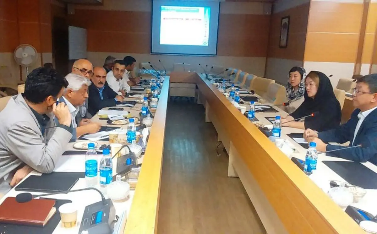 همکاری مرکز علم و فناوری «هاربین» چین با ایران برای کشت برنج کیفی و کم آب‌بر