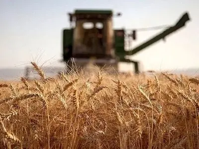 پرداخت تمام مطالبات 31 هزار کشاورز گندم‌کار استان مرکزی / 439 هزار و 273 تن گندم خریداری شده است 