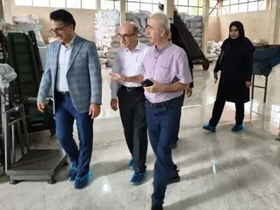 افزایش اعتبار و کیفیت چای تولیدی گیلان با استانداردسازی