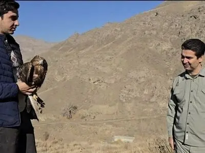 بازگشت 6 پرنده شکاری به حیات وحش استان البرز