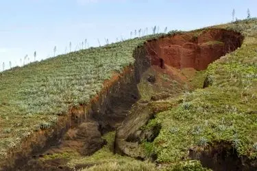 فرسایش ۲۵ تنی خاک در لرستان/پوشش بیش یک میلیون هکتار جنگل در استان