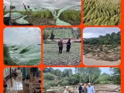 خسارت ۳۷۸ میلیارد تومانی سیلاب مازندران به بخش کشاورزی ساری 