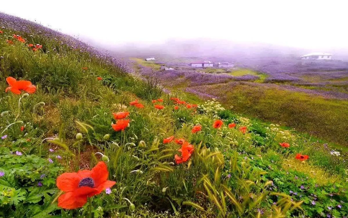 لزوم رعایت ملاحظات زیست‌محیطی در روز «انس با طبیعت»