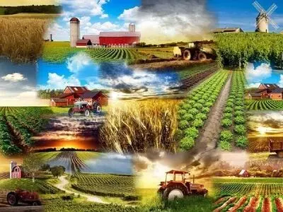کشاورزی کشور در 10 سال گذشته فراز و فرودهایی داشته است / در سرشماری‌ها باید فناوری‌های نوین مورد استفاده قرار گیرد 