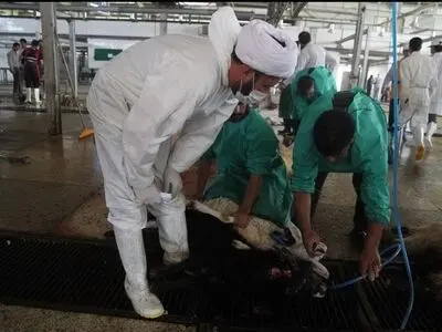 39 گروه در استان مرکزی ناظر ذبح دام در روز عید قربان هستند 