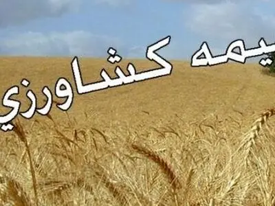پرداخت ۱۰۰ درصدی خسارت بیمه به گندم کاران کردستانی