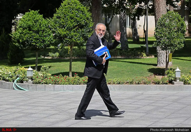 علی اکبر صالحی رئیس سازمان انرژی اتمی