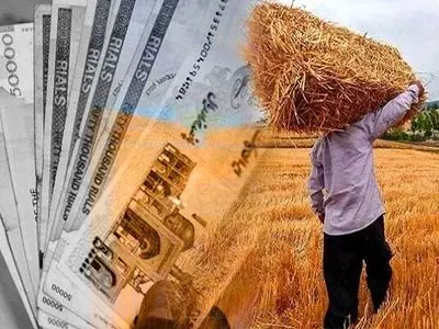 مدیر تعاون روستایی آذربایجان‌شرقی: مطالبات کشاورزان استان فردا تسویه می‌شود