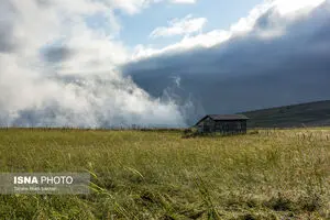 تصاویر خیره‌کننده از بهشت پنهانِ مه‌آلود ایران؛ ببینید + عکس