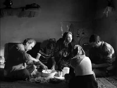 جشنواره ملبورن و لهستان پذیرای «دشت خاموش» شدند