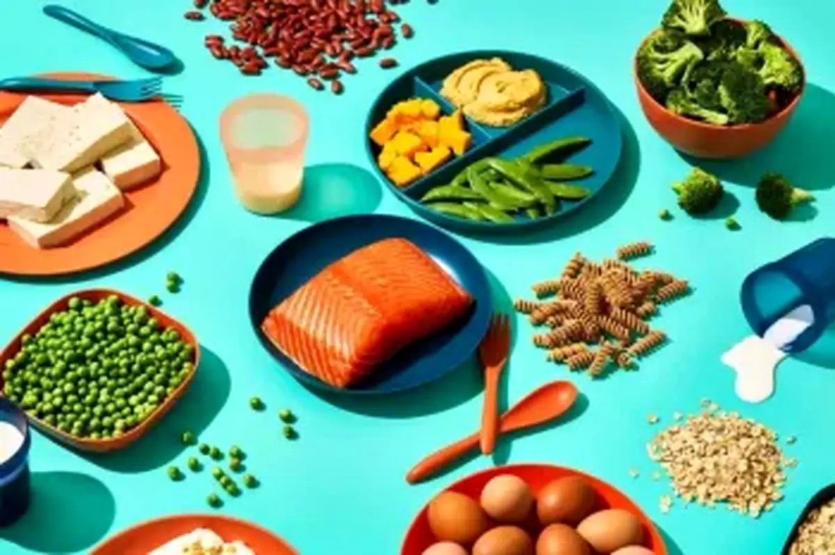 اهمیت غذای پروتئینی برای کودکان
