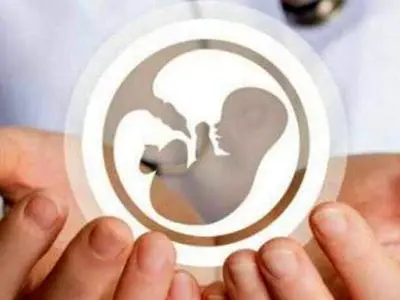 انصراف 283 مادر استان مرکزی از سقط جنین