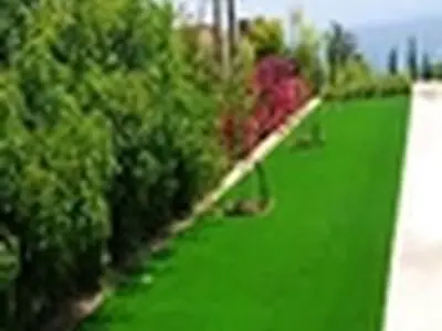 کاشت و ترمیم ۹۰۸۰ مترمربع چمن در سطح شهرداری منطقه سه زنجان