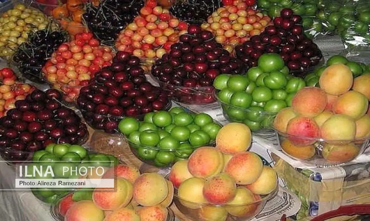 اختلاف چشمگیر قیمت میوه در میادین میوه و تره بار و مغازه های سطح شهر