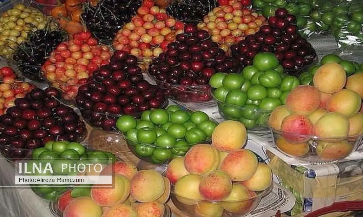 اختلاف چشمگیر قیمت میوه در میادین میوه و تره بار و مغازه های سطح شهر