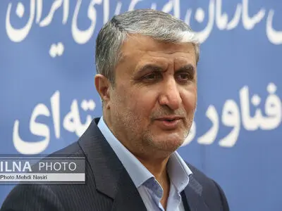 ایران و آژانس طبق "پادمان" مشکلی با هم ندارند/ هیچ کاری که آژانس از آن مطلع نباشد انجام نداده و نمی‌دهیم