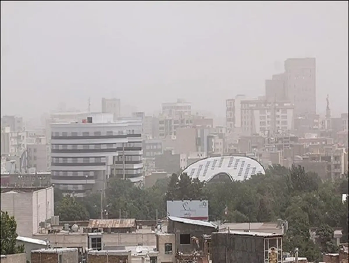 منشاء پدیده گرد و غبار درون استانی نیست/از بین رفتن پوشش‌های گیاهی مسبب ایجاد پدیده گرد و غبار شده است