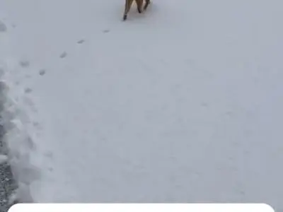 asdasd
