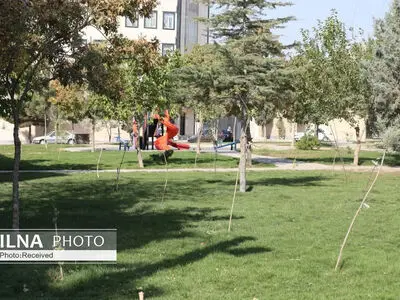 توسعه فضای سبز از اولویت‌های شهرداری آبیک است