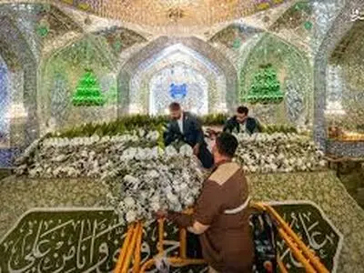گل‌آرایی ضریح امیرالمومنین(ع) به‌مناسبت ولادت حضرت زینب(س) +فیلم