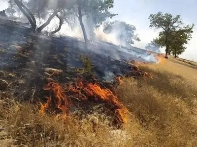 آتش سوزی کوه گِردَکی باغملک مهار شد