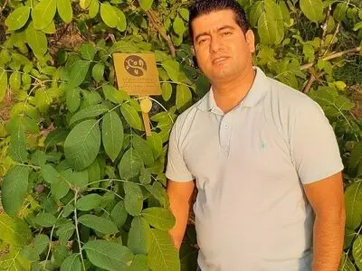 نهال گردو مناسب سال 1402 کدام است؟