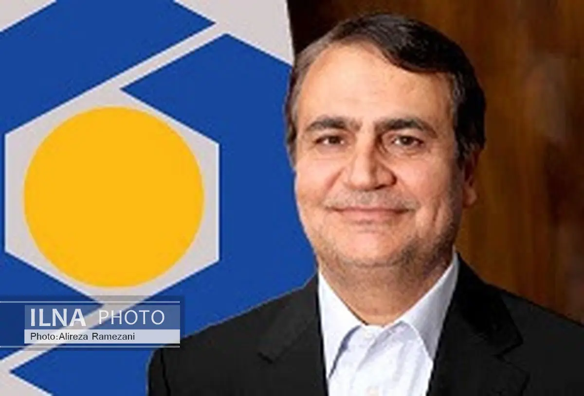 مدیرعامل بانک سینا؛ مدیر برگزیده جهادی توسعه ملی کشور شد 
