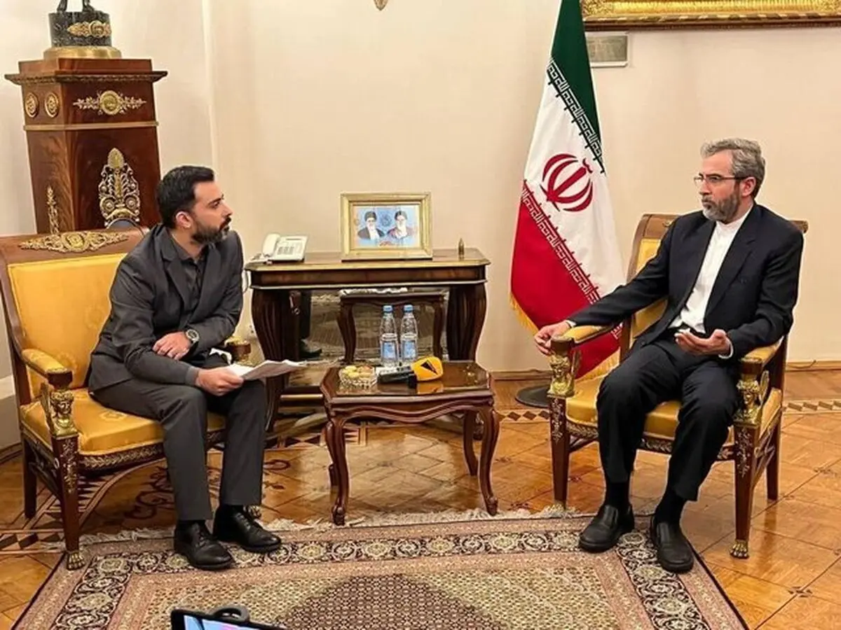 آژانس نباید اجازه بدهد که کشورهای دیگر بر اساس اهداف مغرضانه خود از این نهاد سوء استفاده کنند