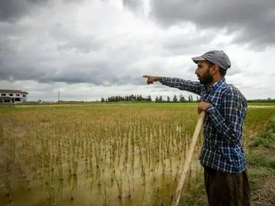 هشدار هواشناسی کشاورزی و دریایی و اعلام وضعیت سطح نارنجی